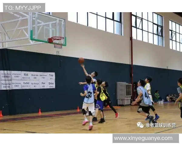 探索NBA篮球架的演变与技术创新：从传统到未来的全景解析