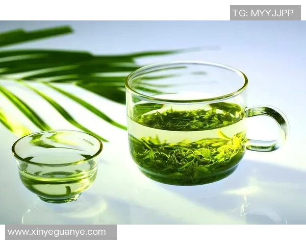 茶叶的文化与健康价值探秘：从历史渊源到现代饮茶新风尚